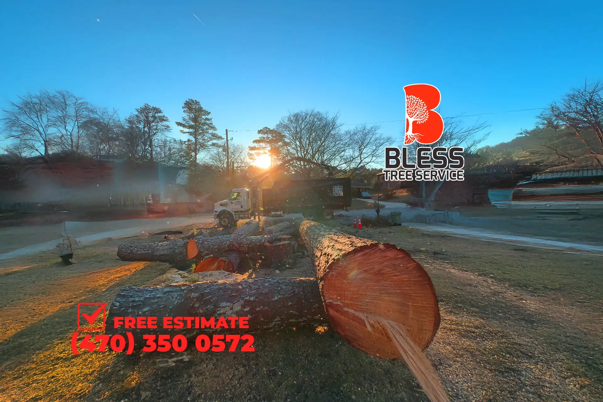 1-slider-Tree-Service_1