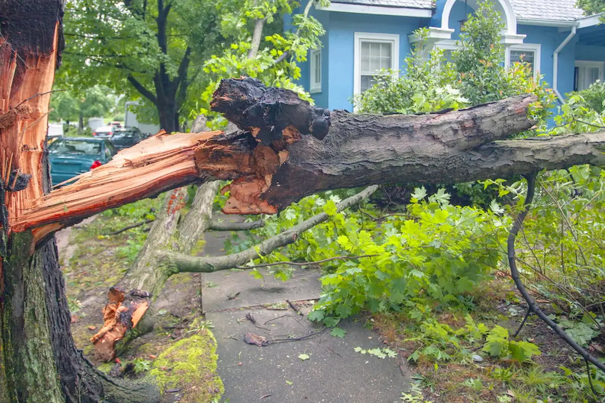 Service emergency tree 1